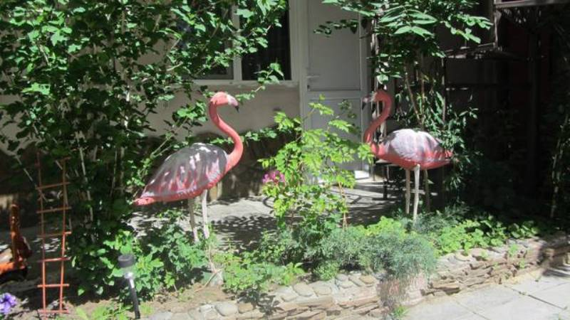 "Розовый Фламинго" мини-гостиница в Витязево